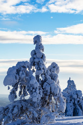 Similar image 22529177