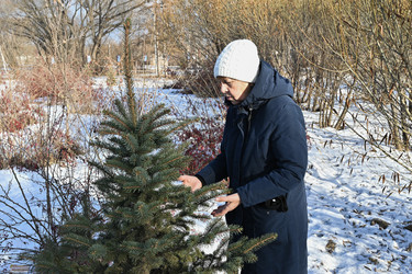 Similar image 22527628