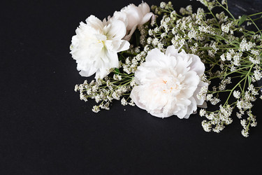 Similar image 22527652