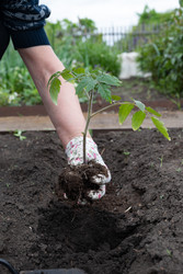 Similar image 22527655