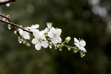 Similar image 22538697