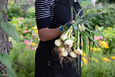 Similar image 22527632