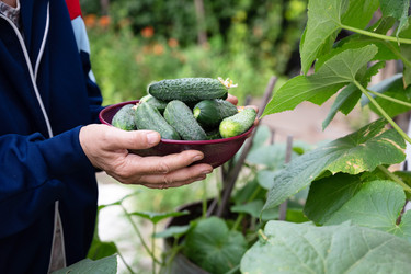 Similar image 22527633