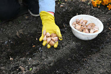 Similar image 22527637