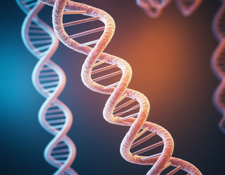 Similar image 22555522