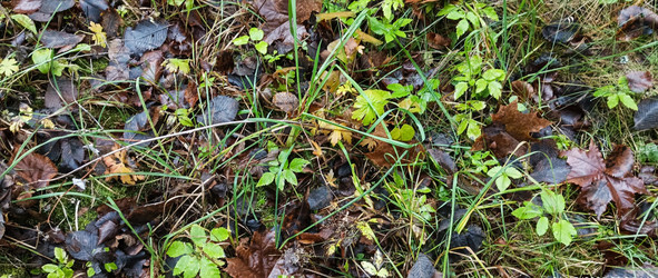 Similar image 22554268