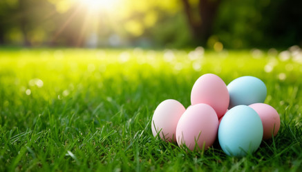 Similar image 22555566