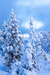 Similar image 22529391