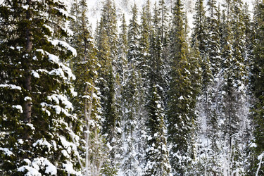 Similar image 22529737