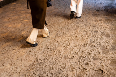 Similar image 22529898