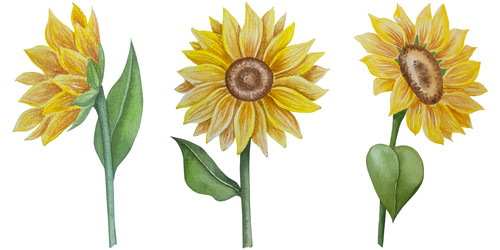 Similar image 22530459