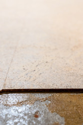 Similar image 22523399