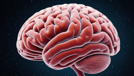 Similar image 22557199