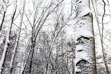 Similar image 22523428