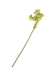 Similar image 22530078