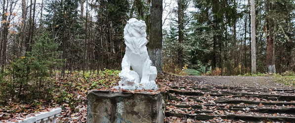 Similar image 22554270