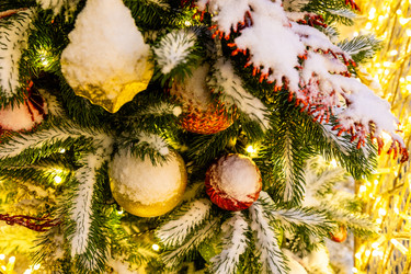 Similar image 22529095