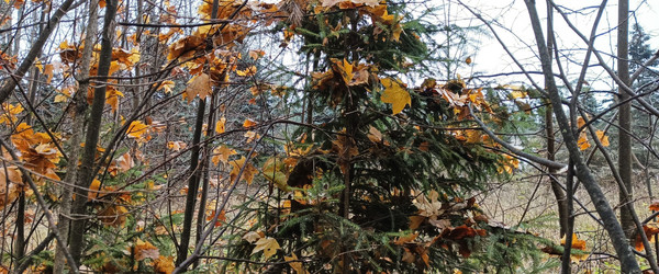 Similar image 22554272