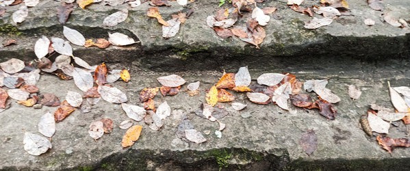 Similar image 22554273