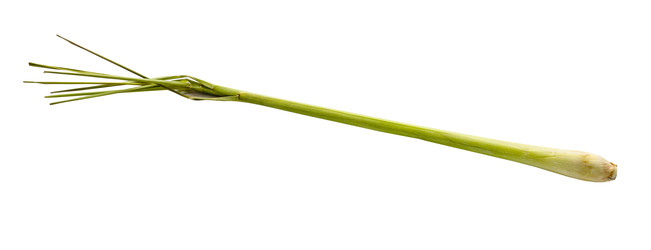 Similar image 22529147