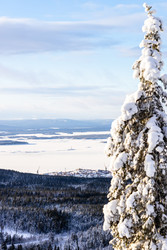 Similar image 22529180