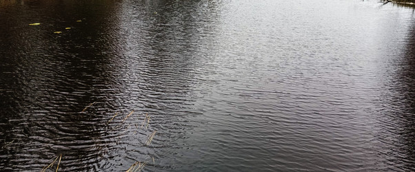 Similar image 22554274