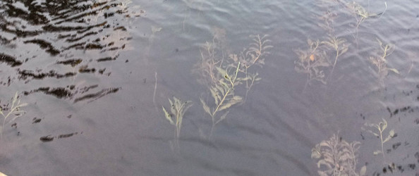 Similar image 22554283