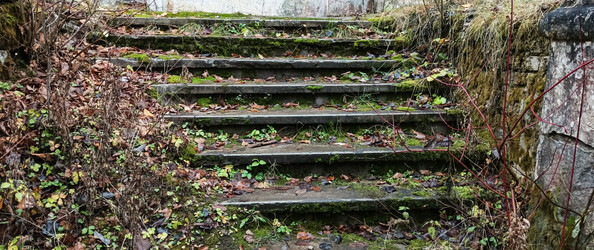 Similar image 22554284