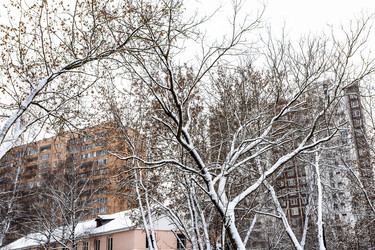 Similar image 22529331