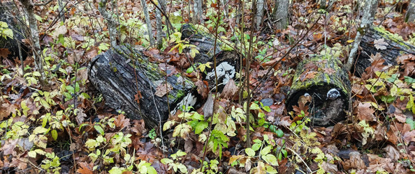 Similar image 22554286