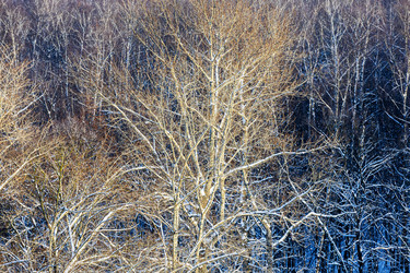 Similar image 22529485