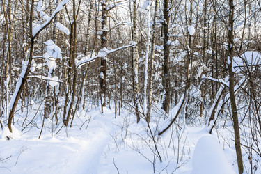 Similar image 22529488