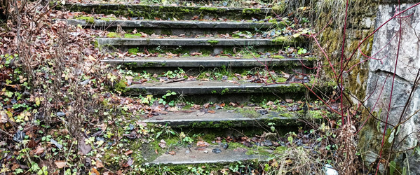 Similar image 22554288