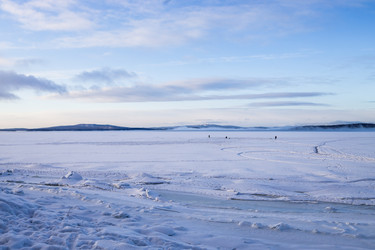 Similar image 22529528