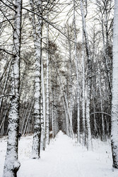 Similar image 22529530