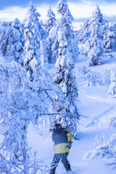 Similar image 22529553