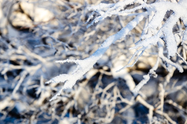 Similar image 22529699