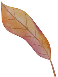 Similar image 22530816