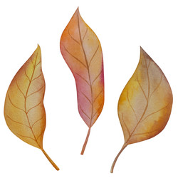 Similar image 22533278