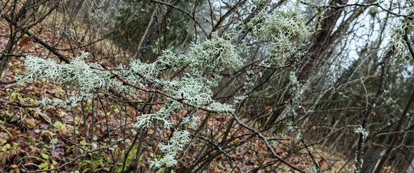 Similar image 22527521