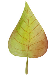 Similar image 22530462