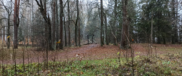 Similar image 22554250