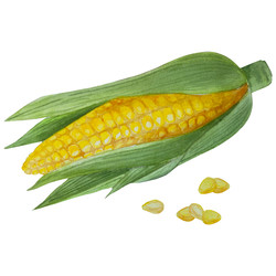 Similar image 22530464