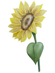 Similar image 22530471