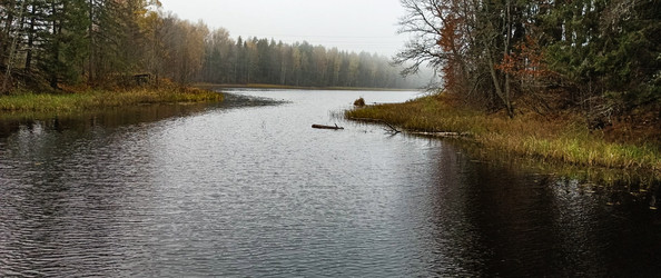 Similar image 22534833