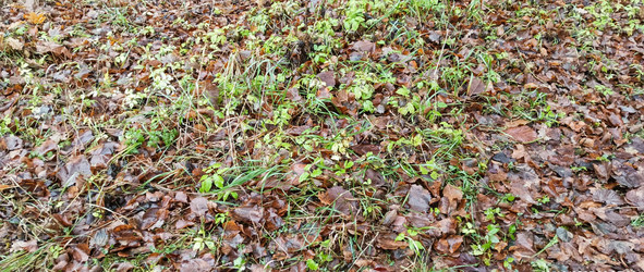 Similar image 22534836