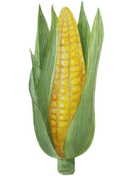 Similar image 22530488