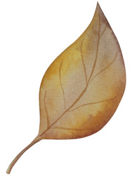 Similar image 22530489