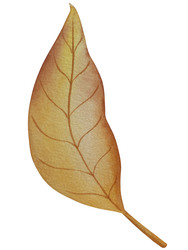 Similar image 22530510