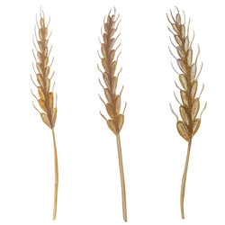 Similar image 22530826